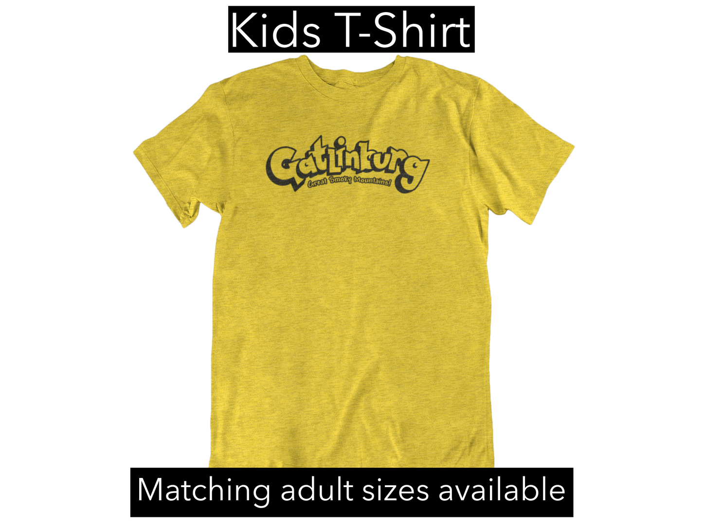 Pokemon Gatlinburg - Youth T-Shirt